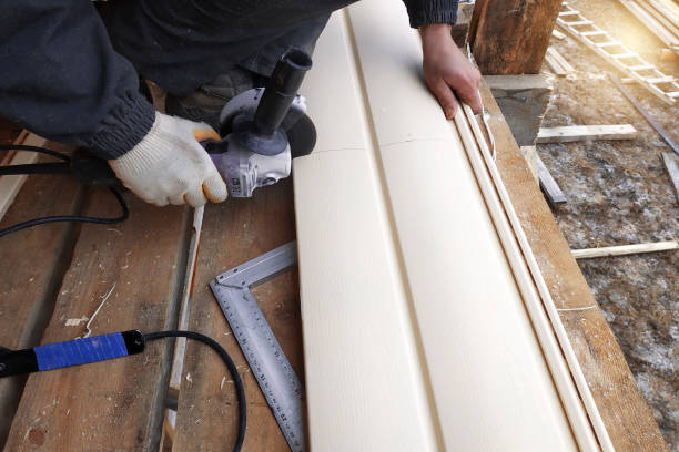 Best Vinyl Siding Installation  in Belle Meade, TN